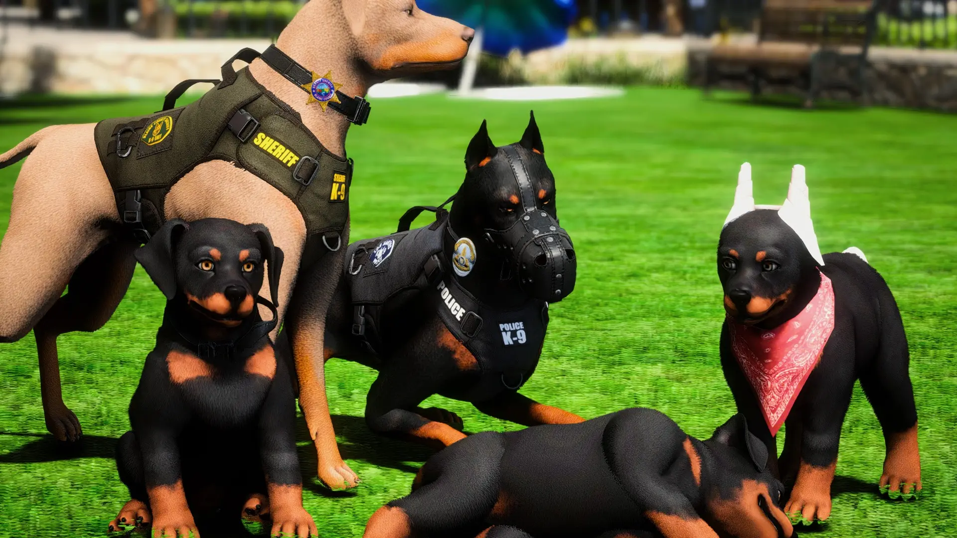 ONX - K9 Peds Pack
